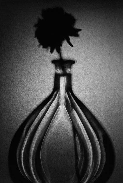 08_flower.bottle.blackandwhite.jpg